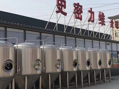 城固精酿啤酒设备厂—市场规模与跨界新需求